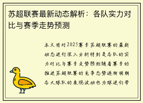 苏超联赛最新动态解析：各队实力对比与赛季走势预测